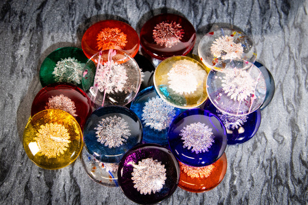 Sharing Stones Multi-Pack